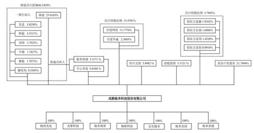 极米投影的网红之路 业务集中与核心技术的双重挑战